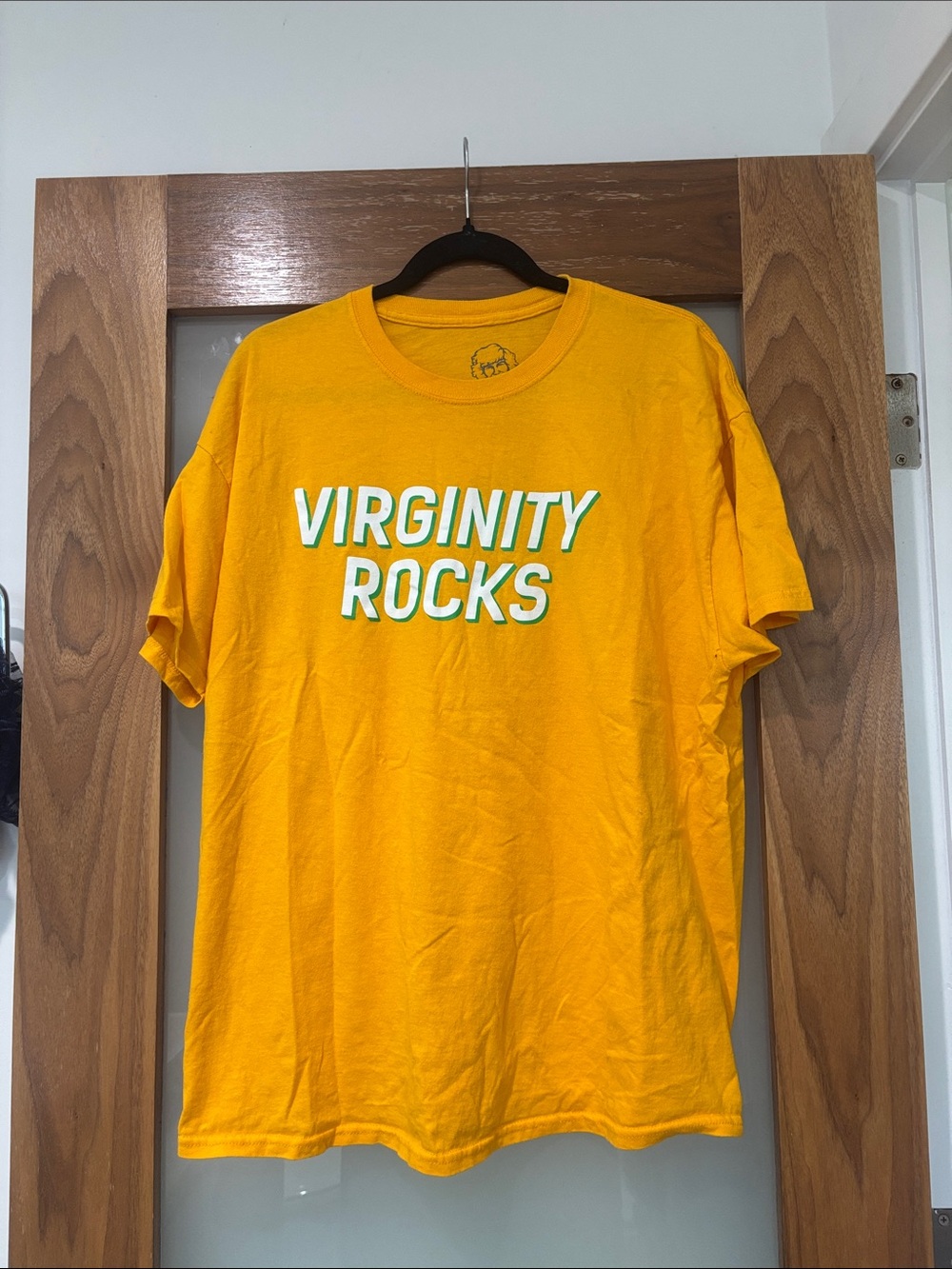 Danny Duncan Virginity Rocks Graphic Tee